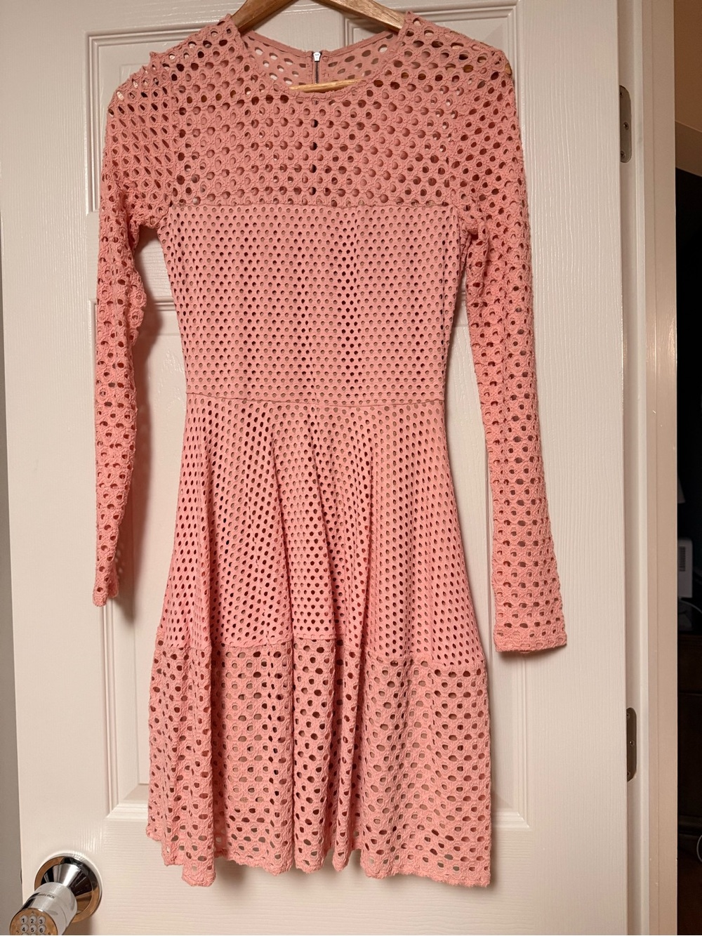 BCBGMaxAzria Pink Long Sleeve Eyelet Fit-and-Flare Dress